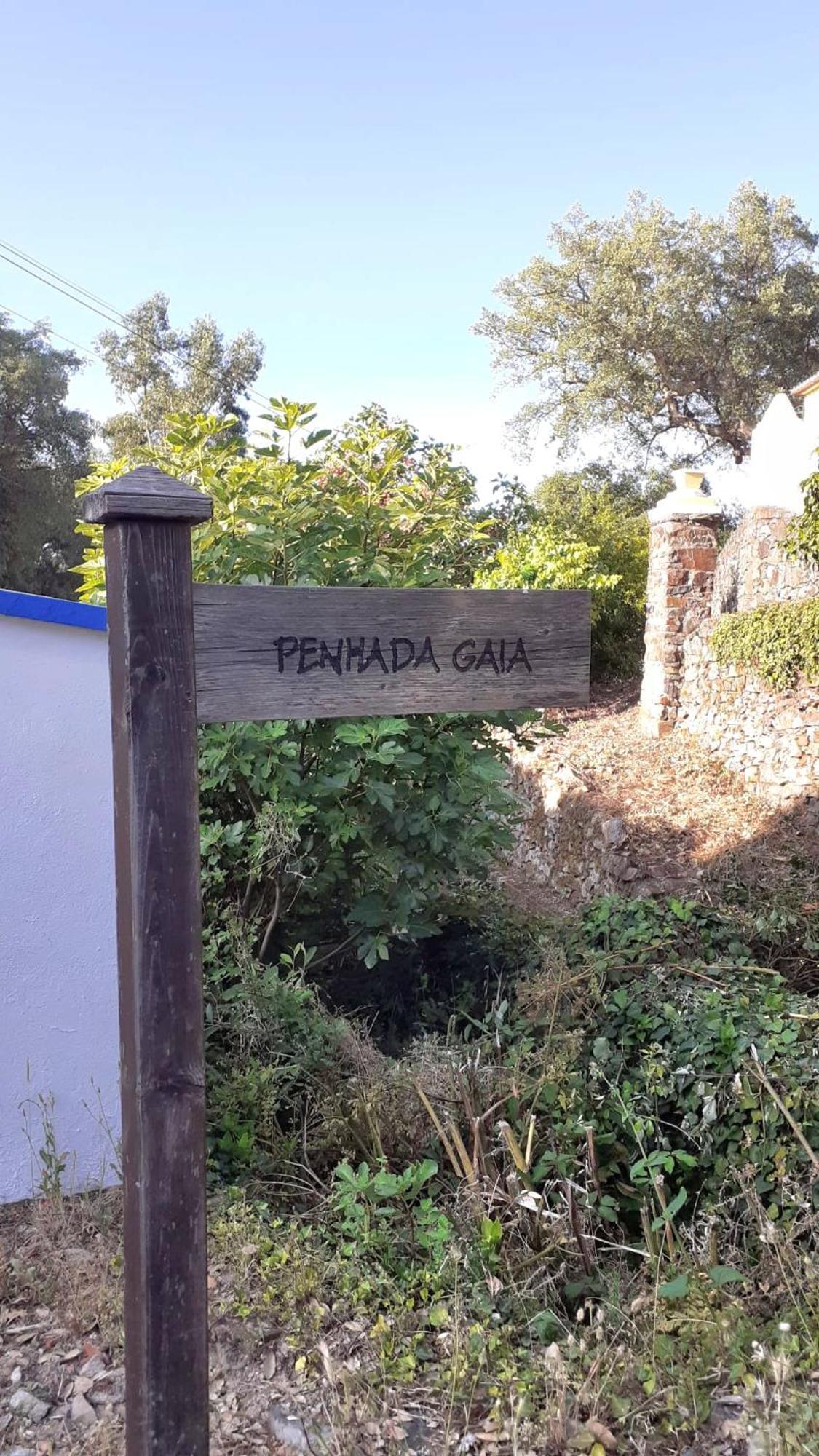 Casa Do Passaro Villa Galegos  Eksteriør bilde