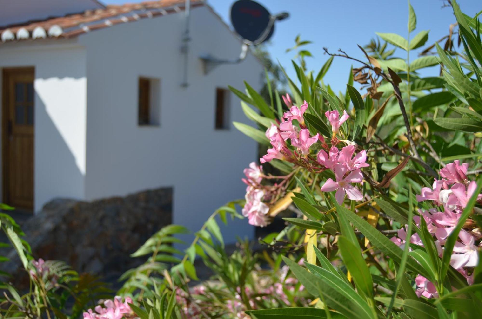 Casa Do Passaro Villa Galegos  Eksteriør bilde